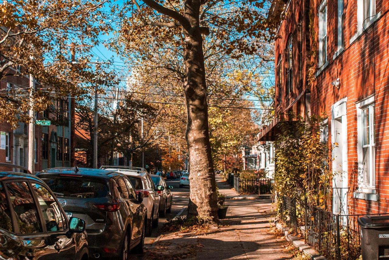 Gorgeous 1Br Wooster Sq. Apt. - Wshr/Dryr, Parking New Haven Esterno foto
